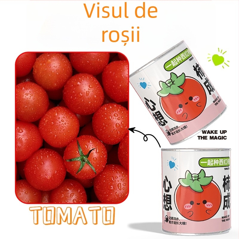 Mini plante în cutie surpriză pentru plantare: strawberry, gypsophila, morning glory; ideale ca cadou pentru clasă sau recompense pentru elevi