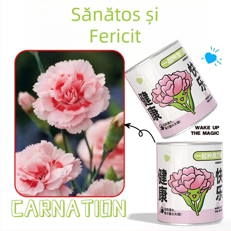 Mini plante în cutie surpriză pentru plantare: strawberry, gypsophila, morning glory; ideale ca cadou pentru clasă sau recompense pentru elevi