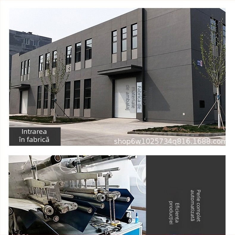 Model cu pietre termice – motiv Gypsophila, design cu fier de călcat cu diamante; potrivit pentru îmbrăcăminte, încălțăminte, pălării, genți, textile de casă.