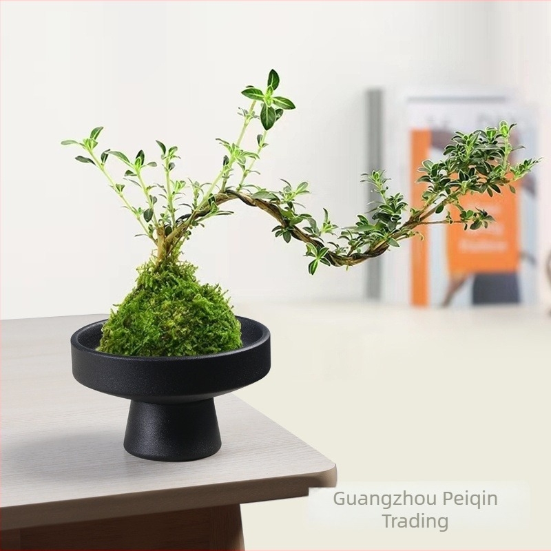 Vas ceramic pentru sferă de mușchi, aranjament floral, plantă hidroponică Narcis — Temperatura optimă de creștere: 1; Iluminare: Neutru; Umiditate: Neutru; Tip plantă: Narcis