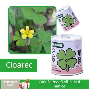 Plantă de birou într-o cutie-cadou cu amestec de floarea-soarelui — semințe ușor de cultivat, soiuri: floarea-soarelui, căpșună, roșie, trifoi; se dezvoltă peste 15°C, lumină neutră