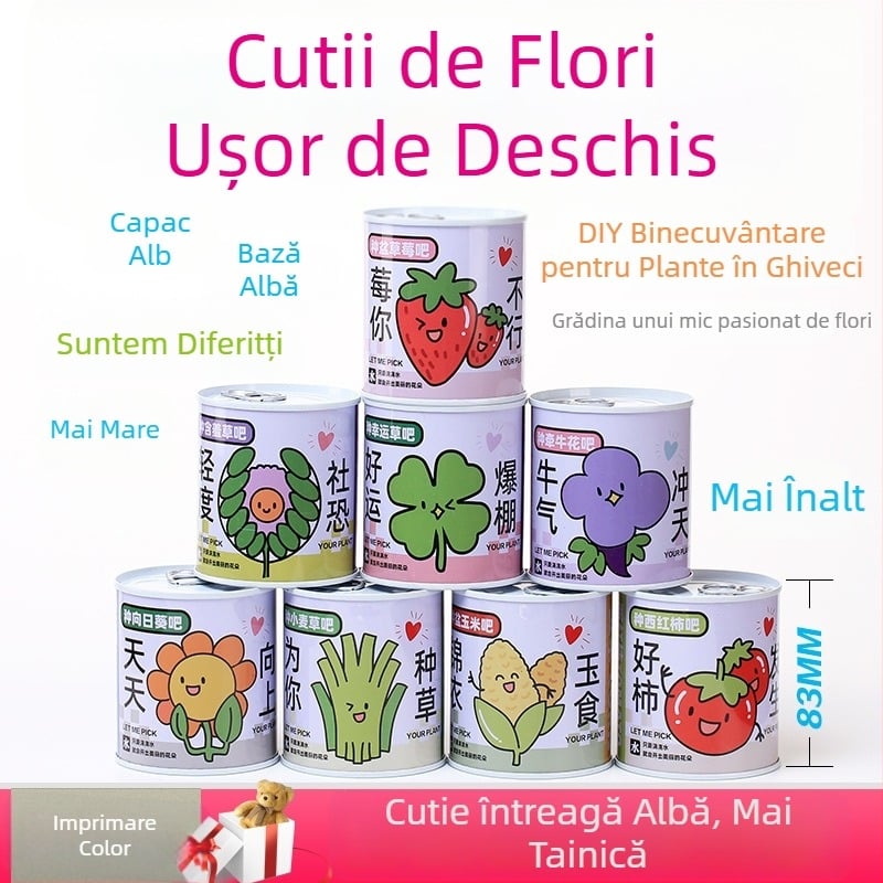 Plantă de birou într-o cutie-cadou cu amestec de floarea-soarelui — semințe ușor de cultivat, soiuri: floarea-soarelui, căpșună, roșie, trifoi; se dezvoltă peste 15°C, lumină neutră