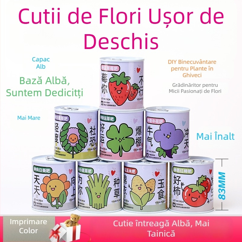 Plantă de birou într-o cutie-cadou cu amestec de floarea-soarelui — semințe ușor de cultivat, soiuri: floarea-soarelui, căpșună, roșie, trifoi; se dezvoltă peste 15°C, lumină neutră
