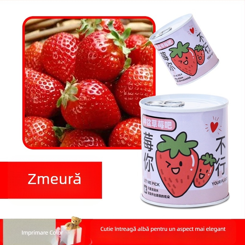 Plantă de birou într-o cutie-cadou cu amestec de floarea-soarelui — semințe ușor de cultivat, soiuri: floarea-soarelui, căpșună, roșie, trifoi; se dezvoltă peste 15°C, lumină neutră