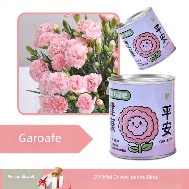 Plantă de birou într-o cutie-cadou cu amestec de floarea-soarelui — semințe ușor de cultivat, soiuri: floarea-soarelui, căpșună, roșie, trifoi; se dezvoltă peste 15°C, lumină neutră