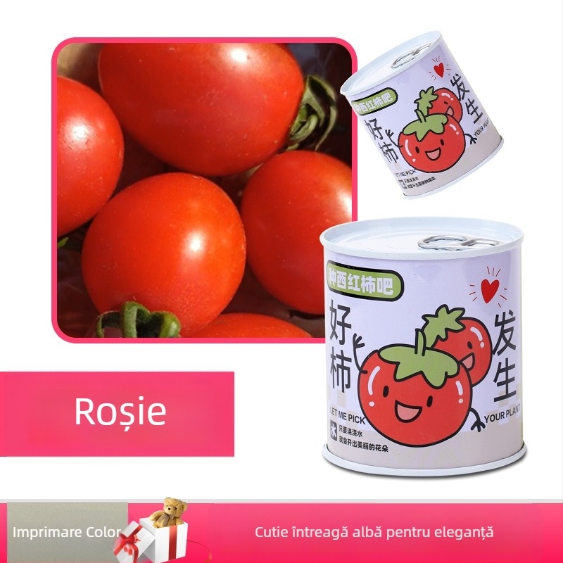 Plantă de birou într-o cutie-cadou cu amestec de floarea-soarelui — semințe ușor de cultivat, soiuri: floarea-soarelui, căpșună, roșie, trifoi; se dezvoltă peste 15°C, lumină neutră