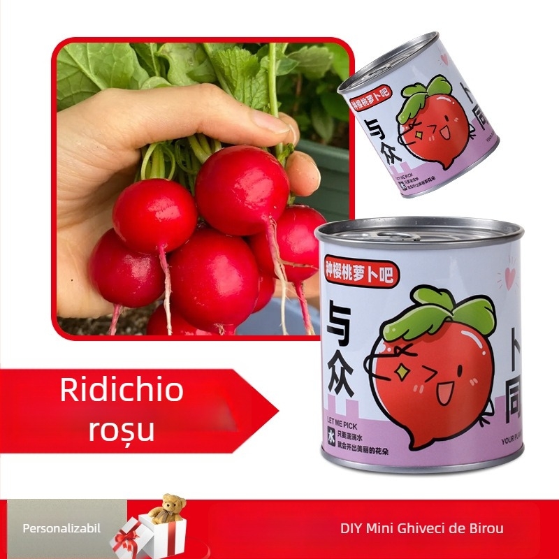 Plantă de birou într-o cutie-cadou cu amestec de floarea-soarelui — semințe ușor de cultivat, soiuri: floarea-soarelui, căpșună, roșie, trifoi; se dezvoltă peste 15°C, lumină neutră