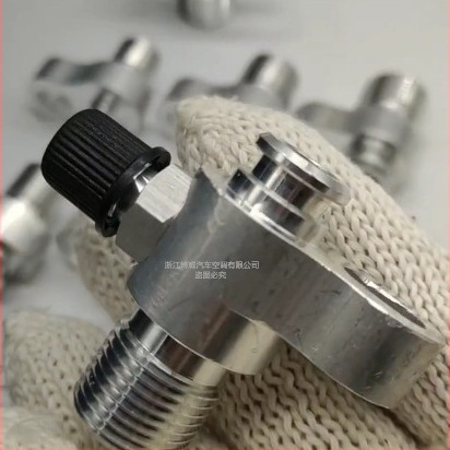 Conector țevi climatizare auto pentru compresor 96, placă de presiune, conector cu filet exterior, Bowie