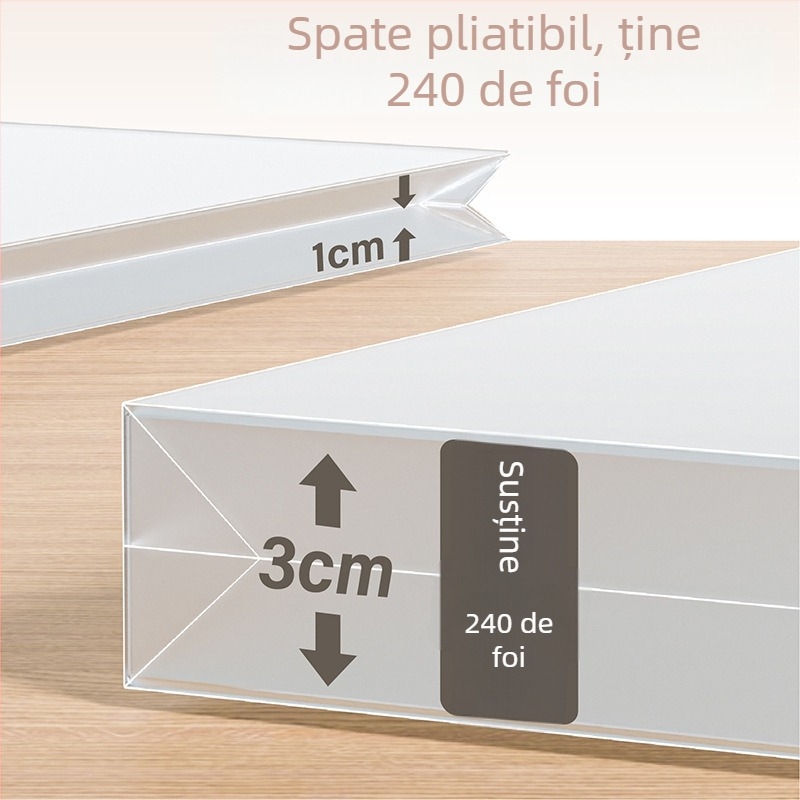 Set de depozitare pentru album de desen cu foldere pentru schițe și geantă de depozitare (Material: PP; Autorizare IP: Nu)