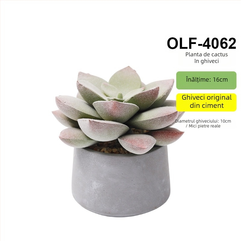 Bonsai cactus artificial în ghiveci din ciment, pentru birou • Brand Olif • Material PU • Meșteșug: Altul • Tip: Cactus