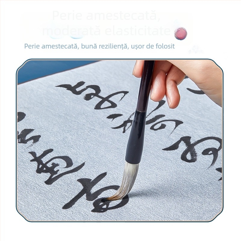 Set de practică pentru caligrafie pe pânză de scriere cu apă, copiere cu grilă de orez, hârtie de orez imitativă, îngroșată — marcă privată autorizată