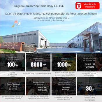 Haltere de box portabilă pentru lovituri în aer (fontă • 1 kg • FSY)