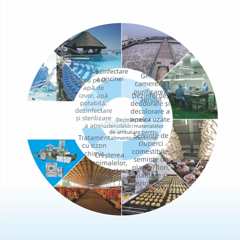 Qida Generatoare All-in-One de Ozon, Ozonație de înaltă concentrație, sterilizare 99%, omorârea algelor 99,5%