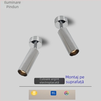 Spot LED montat pe suprafață, finisaj argintiu în stil antic, cap reglabil anti-orbire pentru iluminare în jos, carcasă din aluminiu, 220V, LED, CRI≥95