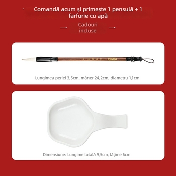 Set de caligrafie: țesătură pentru scriere cu apă, plasă cu grilă de orez, brocart nețesut, formă dreptunghiulară