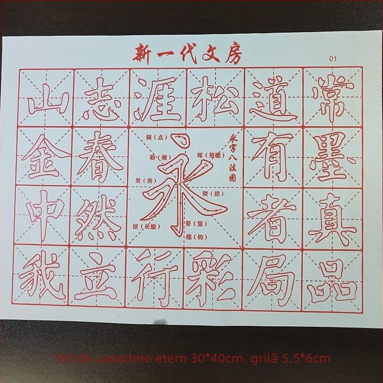 Pânză de caligrafie cu scriere cu apă pentru practică, material nețesut cu uscare rapidă, formă dreptunghiulară, marcă Shangpin