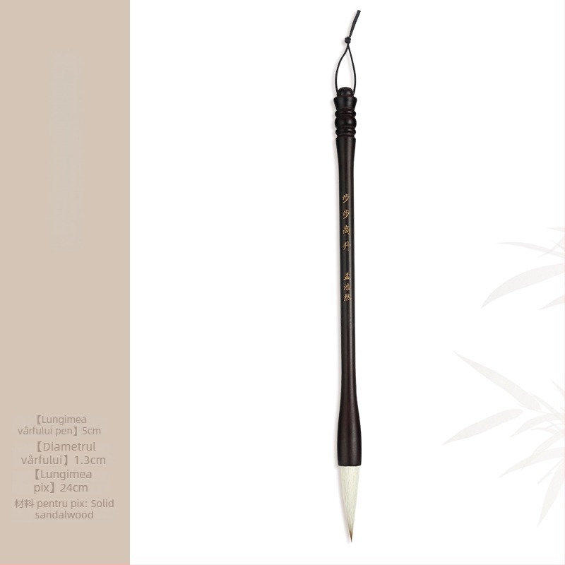 Set din lemn pentru pensule cu suport cap dragon, 8 ace, model D2987, TT/Tiantian Practice