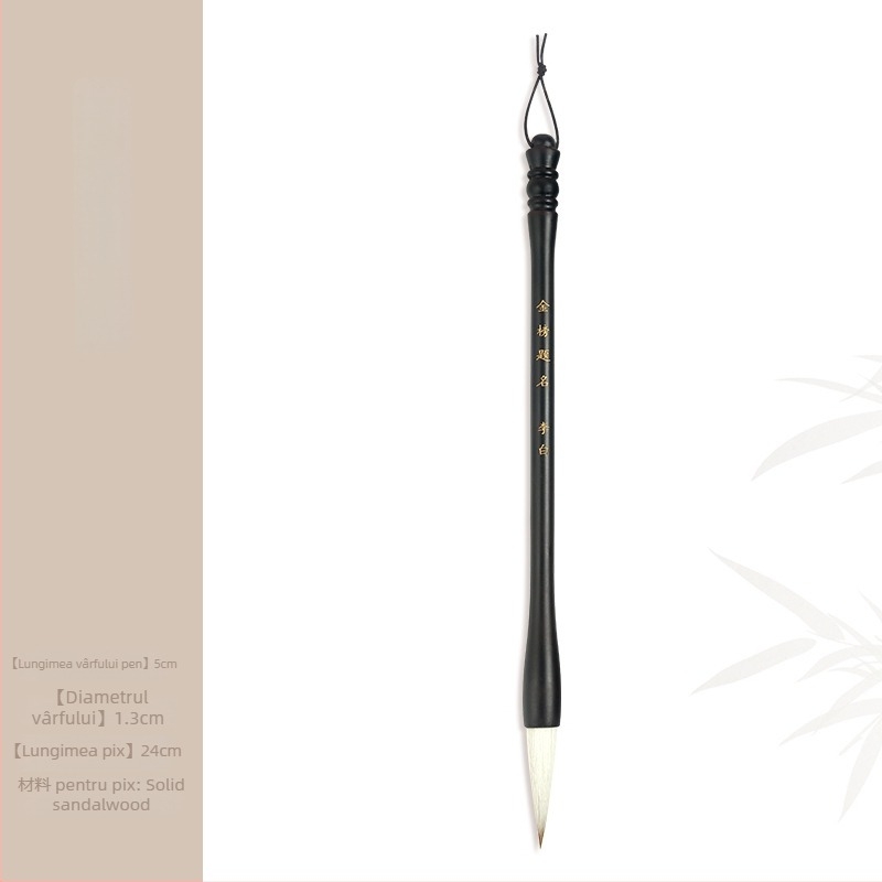 Set din lemn pentru pensule cu suport cap dragon, 8 ace, model D2987, TT/Tiantian Practice