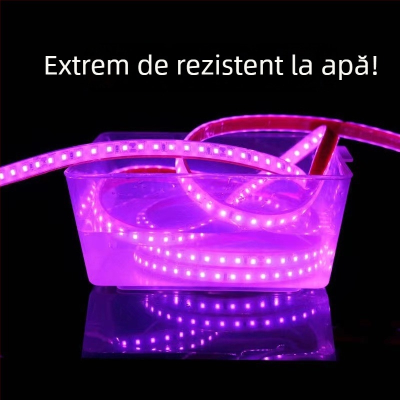 Bandă LED monocromă de 24V, IP68 impermeabil, 120 LEDuri 3528, 10 W/m, cu reglaj al intensității