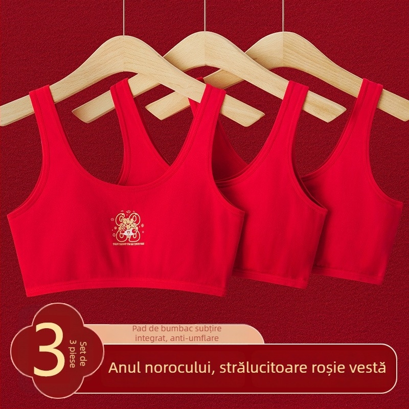 Set de lenjerie din bumbac pentru fete – sutien cu cupă completă, burete, căptușeală din viscose 90–95%, bretele fixe/duble, respirabil și confortabil, pentru 12–15 ani