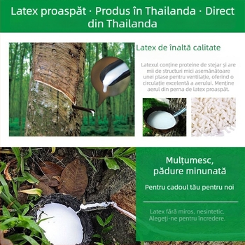 Pernă din latex, pernă pătrată pentru adulți, umplură 95% latex natural, conținut de latex 90%+, Refined Rose