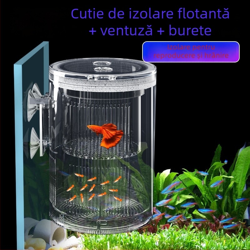 Cutie incubație plutitoare din acrilic pentru izolare reproducere