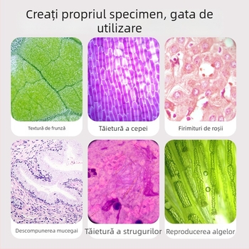 Microscop pentru copii 3 în 1, compact, din plastic, pentru activități DIY, ambalaj în cutie colorată, destinat copiilor 4–6 ani, educație în biologie/chimie (plastic; DIY; cutie colorată; 4–6 ani; biologie/chimie)
