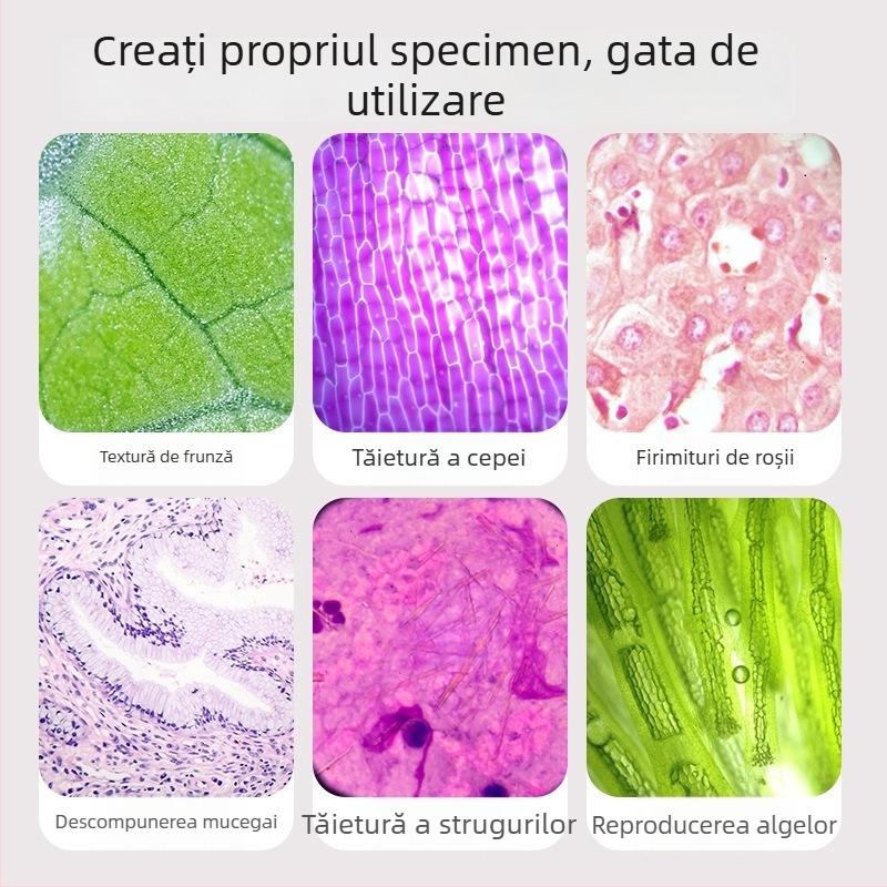 Microscop pentru copii 3 în 1, compact, din plastic, pentru activități DIY, ambalaj în cutie colorată, destinat copiilor 4–6 ani, educație în biologie/chimie (plastic; DIY; cutie colorată; 4–6 ani; biologie/chimie)