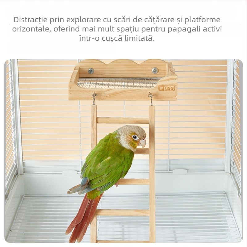 Platformă de odihnă pentru papagal și scară de cățărare - Jucărie din lemn pentru păsări Yee