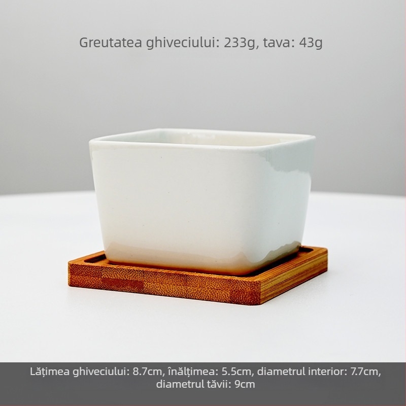 Ghiveci ceramic cu imprimare a logo-ului; design simplu din porțelan; pentru birou sau podea; producție semi-artizanală.
