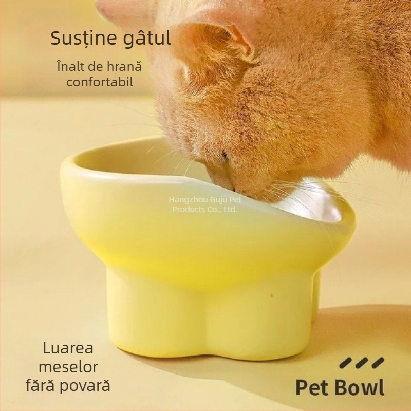 Bol ceramic pentru pisici
