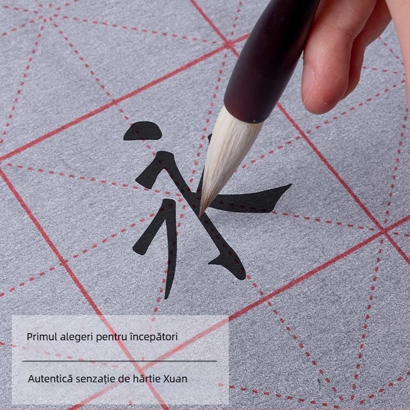 Tan yixuan Pânză pentru scriere cu apă, pentru practică de caligrafie și exerciții cu pensula, cu grilă de tip Rice Grid, design brocard, lavabilă