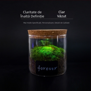 Recipient de depozitare din sticlă borosilicată cu iluminare, capac din plută, afișaj pentru brățări, protecție împotriva prafului