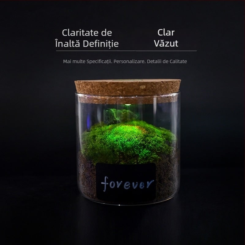 Recipient de depozitare din sticlă borosilicată cu iluminare, capac din plută, afișaj pentru brățări, protecție împotriva prafului