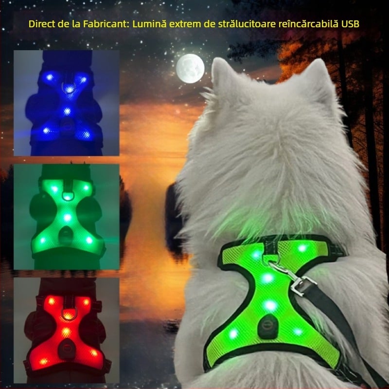 Ham de piept pentru câine – din plasă textilă, încărcare USB, LED de vizibilitate nocturnă, extensibil