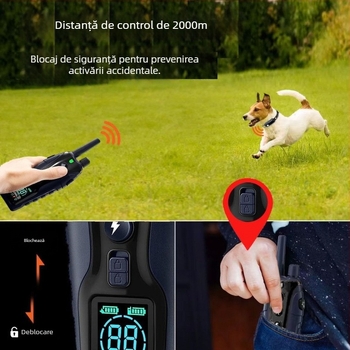 Colier de antrenament pentru câini (Material: Altul; Brand: Altul; Categoria produsului: Covor glisant)