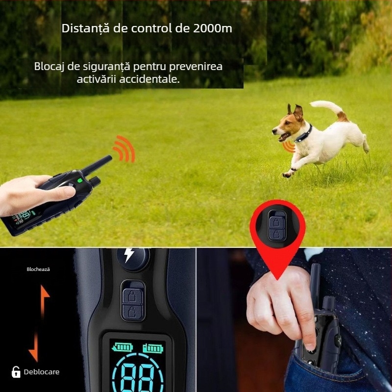 Colier de antrenament pentru câini (Material: Altul; Brand: Altul; Categoria produsului: Covor glisant)